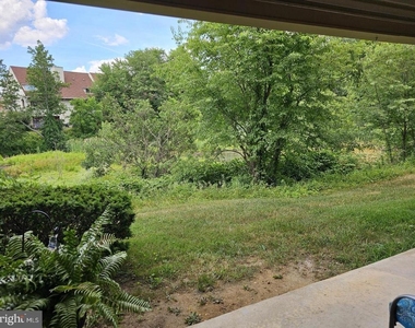 290 Tavistock - Photo Thumbnail 29