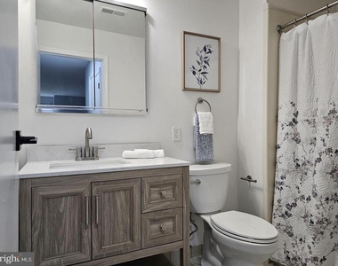 290 Tavistock - Photo Thumbnail 17