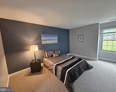 290 Tavistock - Photo Thumbnail 20