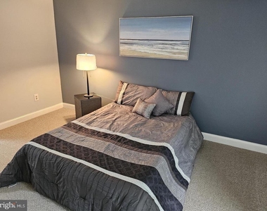 290 Tavistock - Photo Thumbnail 22