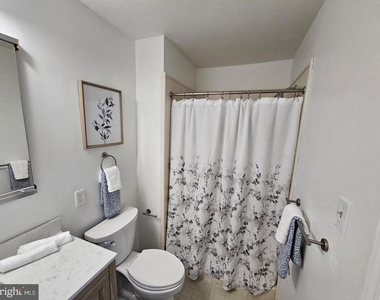 290 Tavistock - Photo Thumbnail 19