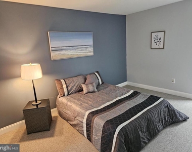 290 Tavistock - Photo Thumbnail 21