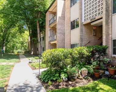 12202 Braxfield Court - Photo Thumbnail 50