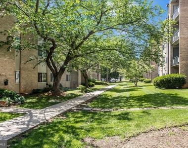 12202 Braxfield Court - Photo Thumbnail 48
