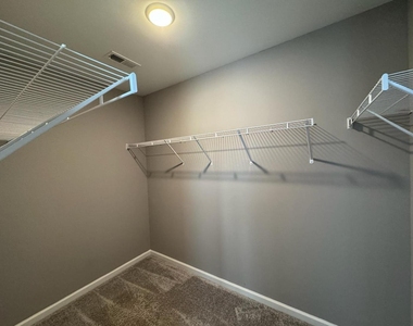 1024 Laceflower Drive - Photo Thumbnail 21