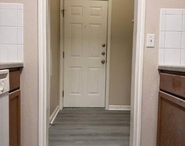 1729 Constantino Cir - Photo Thumbnail 6