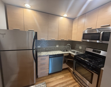 6954 N Greenview Avenue - Photo Thumbnail 6