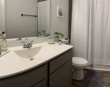 3213 Cornflower Coast Court - Photo Thumbnail 20