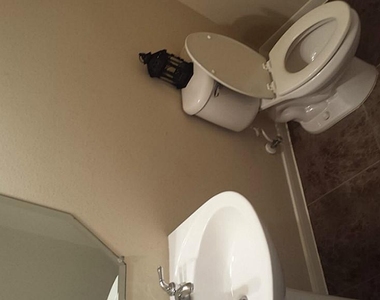 4602 Countrymeadows Drive - Photo Thumbnail 18