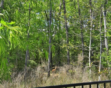 282 Sky Top Drive - Photo Thumbnail 39