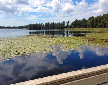 8533 Reedville Street - Photo Thumbnail 55