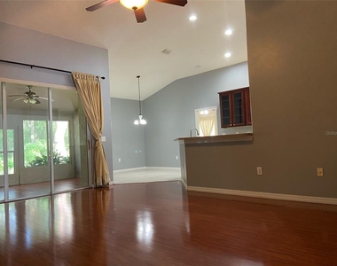 10542 San Travaso Drive - Photo Thumbnail 10
