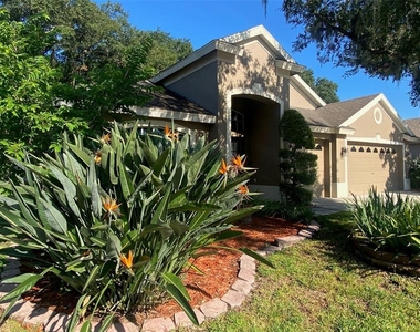 10542 San Travaso Drive - Photo Thumbnail 2