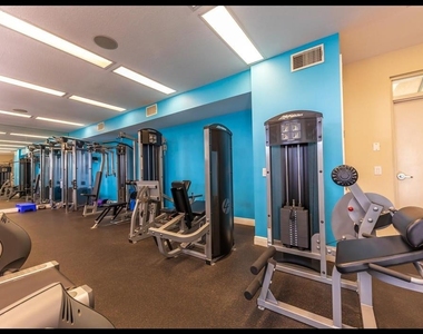 1042 Bellasol Way - Photo Thumbnail 26