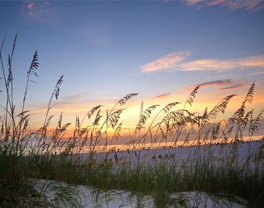 1430 Gulf Boulevard - Photo Thumbnail 52