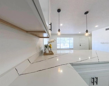 905 Spring Creek Drive - Photo Thumbnail 6