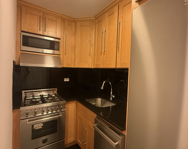 305 West 13th Street - Photo Thumbnail 9
