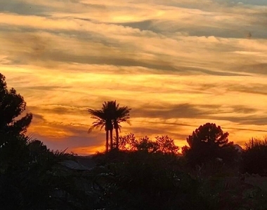 42320 W Morning Glory Way - Photo Thumbnail 4
