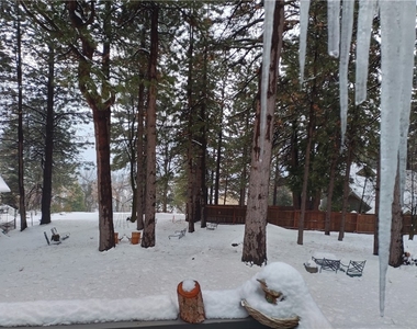 31083 All View Drive - Photo Thumbnail 24