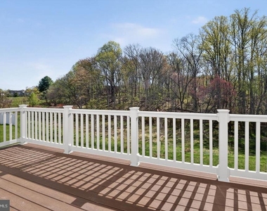 19753 Green Village Drive - Photo Thumbnail 10