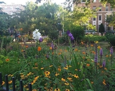 1906-1908 17th Street Nw - Photo Thumbnail 15