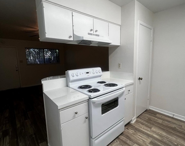 1037 E 44th St - Photo Thumbnail 2