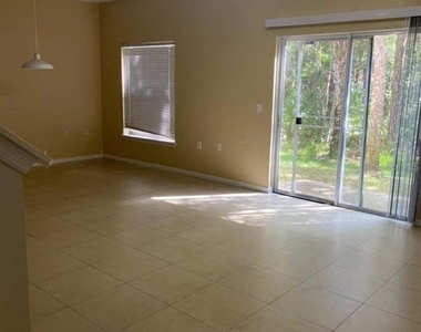 16314 Worchester Palms Court - Photo Thumbnail 10