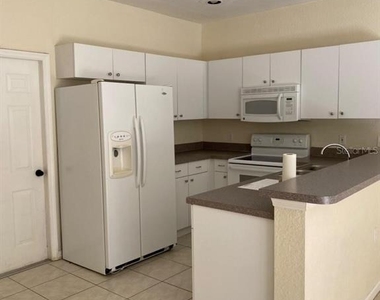 16314 Worchester Palms Court - Photo Thumbnail 1