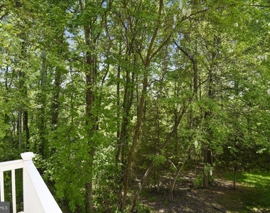 6087 Piney Woods Court - Photo Thumbnail 25