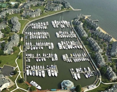 7036 Harbour Village Court - Photo Thumbnail 31