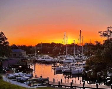 7036 Harbour Village Court - Photo Thumbnail 42