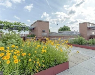 631 D Street Nw - Photo Thumbnail 22