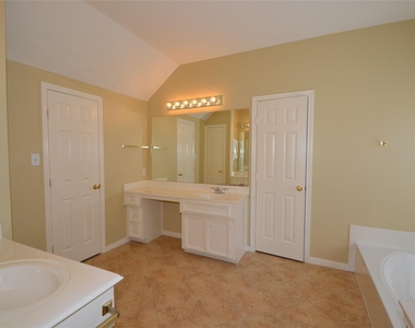 1711 Emma Cove Court - Photo Thumbnail 21