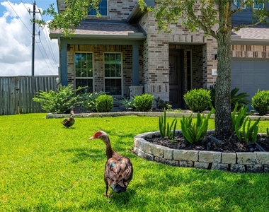 288 Kara Mist Court - Photo Thumbnail 42