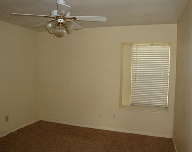 6806 Caddo Lake Lane - Photo Thumbnail 9
