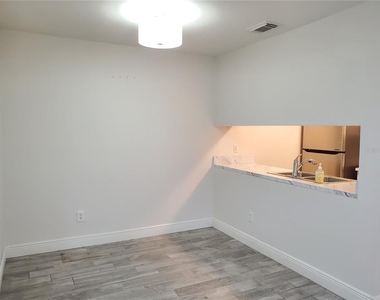 3107 W Horatio Street - Photo Thumbnail 4