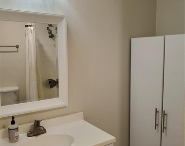3107 W Horatio Street - Photo Thumbnail 12