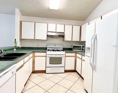 13158 Odyssey Lake Way - Photo Thumbnail 6