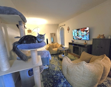 25-60 49th Street - Photo Thumbnail 8