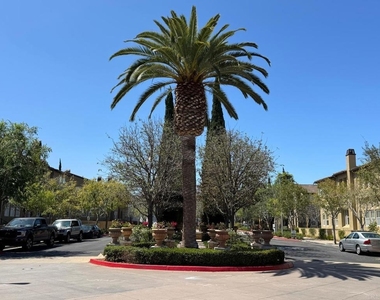 7885 Via Montebello - Photo Thumbnail 29