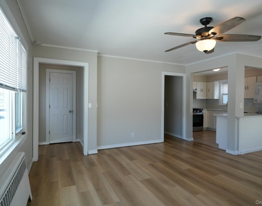 59 Troy Avenue - Photo Thumbnail 5