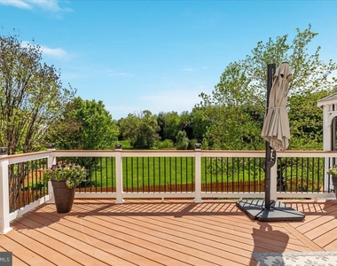 15043 Gaines Mill Circle - Photo Thumbnail 53