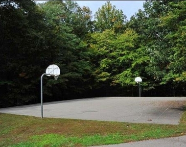 8097 Winding Way Court - Photo Thumbnail 39