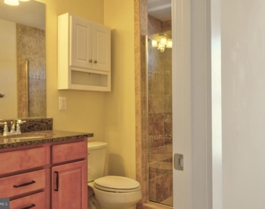 219 Baldwin Street - Photo Thumbnail 16