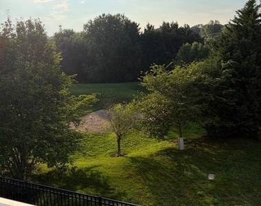 18616 Poplar Glen Court - Photo Thumbnail 44