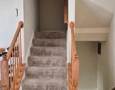 3381 Sonia Trail - Photo Thumbnail 20