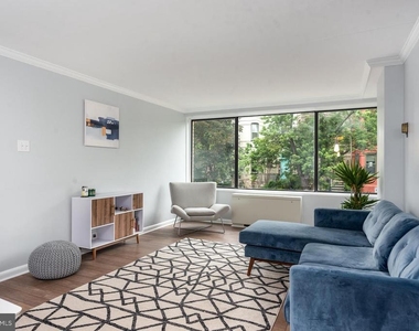 305 C Street Ne - Photo Thumbnail 2