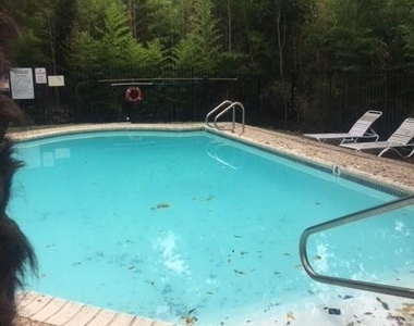3839 Dry Creek Dr - Photo Thumbnail 24