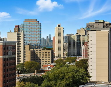 1700 E 56th Street - Photo Thumbnail 16