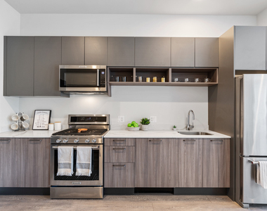 853 N Larrabee Street - Photo Thumbnail 9